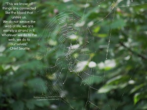 We-are-a-stand-in-this-web-of-life
